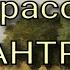 Некрасов Николай ФИЛАНТРОП Читает Лев Литвинов слушать онлайн