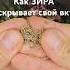 ЗИРА для кебабов как раскрыть её аромат для идеального вкуса накухнесдимой восточнаякухня