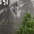 সম দ রবন দরগ ল য ৩ নম বর সতর কস ক ত Weather Update Today Bangladesh News Prothom Alo