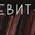 Книга Левит 1 Семинар Обзор ВЗ часть 9 Прокопенко Алексей