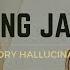 Jang Jane Auditory Hallucinations Lyrics Lirik