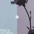Paul Thomas Christian Burns Enjoy The Silence Extended Mix