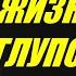 Как не тратить жизнь на глупости Учимся жить Торсунов О Г