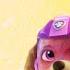 Paw Patrol I Need Help Music Video PAW Patrol The Movie 2021