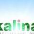Калина окна