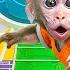 KiKi Monkey Escape From World S Hardest Rainbow Prison Maze With Four Elements Trap KUDO ANIMAL KIKI