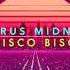 Miley Cyrus Midnight Sky Ruky Disco Biscuit 80 S Remix