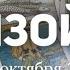 ВОДОЛЕЙ Таро прогноз на неделю 7 13 ОКТЯБРЯ 2024 Расклад от ТАТЬЯНЫ КЛЕВЕР