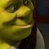 Shrek And Fiona S Love Story Family Flicks