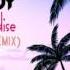 CRAZYBOY Tropical Paradise Balistic Beats Remix DJ SGR Blend