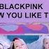 РЕАКЦИЯ НА BLACKPINK How You Like That С ЛЁША ВНЕМОЙ