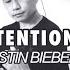 INTENTIONS JUSTIN BIEBER Violin Cover Hkawng Hong Hkawng Hawng တယ ခ င ဟ င