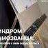 Как жить с синдромом самозванца