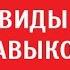 Виды навыков Память человека