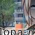 клип гача лайф Дора дура