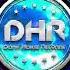 Nick H DJ Hallzy Love Dont Let Me Go DHR