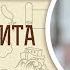 Книга Товита Глава 7 Андрей Десницкий Ветхий Завет