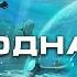 Подводная цивилизация Тайны древних миров