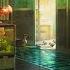 Relax At The Aquatic Shop The Sound Of Running Water And Lofi Beats Lofi Hip Hop Mix