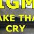 Sigma Ft Take That Cry Lyrics