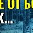 ВОЗДАЯНИЕ ЗА ПРОЩЕНИЕ ОБИД превосходит воздаяние всякой иной добродетели Иосиф Оптинский