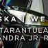 Aiwaska We Came Tarantula Malandra JR Remix