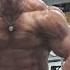 IFBB Pro Bodybuilder Brian Yersky Trains Back And Arms