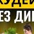 АЛИНА ШПАК О ПОХУДЕНИИ ДЫХАНИЕ ВМЕСТО ДИЕТ СЕКРЕТЫ СТРОЙНОСТИ ЗНАМЕНИТОСТЕЙ