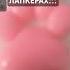 МОИ НЕТ В ЛАПКАХ