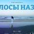 INSTASAMKA Волосы Назад REMIX