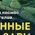 Мифы космонавтики Гагарин гибель космонавтов инопланетяне Антон Первушин УПМ 9 10