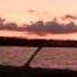 Rear View Sunset