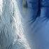 The Yeti Mystery Is DNA Evidence The Key To Proving Its Existence Science Documentary AT