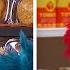 Fruits Vegetables And More With Elmo And Cookie Monster TWO Sesame Street Full Episodes