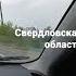 города села екуда едем кошки