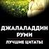 Джалаладдин Руми Афоризмы и высказывания ВЕЛИКОГО поэта