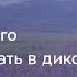 Как что или кого фотографировать в дикой природе Тимур Ахметов S20e12