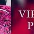 VIP KAZAKH PLAYLIST ВИП КАЗАХ ПЛЕЙЛИСТ