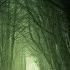 Leaving Home By Kevin MacLeod Mystery Suspense Music