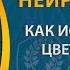 Нейрографика Как использовать цвета на благо себе Павел Пискарёв