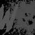Bad Wolves Learn To Live