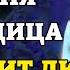 ВКЛЮЧИ 1 РАЗ И ИСПОЛНИТСЯ ЛЮБАЯ ПРОСЬБА Сильная молитва Богородице о помощи Православие