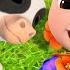 JJ Plays With His Baby Farm Animals CoComelon Nursery Rhymes Kids Songs 3 HOURS After School