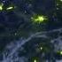 Thunderstorm In Space