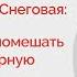 Политолог Мария Снеговая о том кто на самом деле управляет Россией