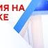 А ваши доходы увеличились на 70 Статистика утверждает что да Новости TV3 Plus