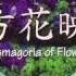 Flowering Night Touhou 9 PoFV HD