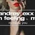 Andrey Exx Elis M Feeling Feat Misha Missing You