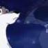 Balto Clip 3