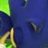 Sonic Generations Intro P1
